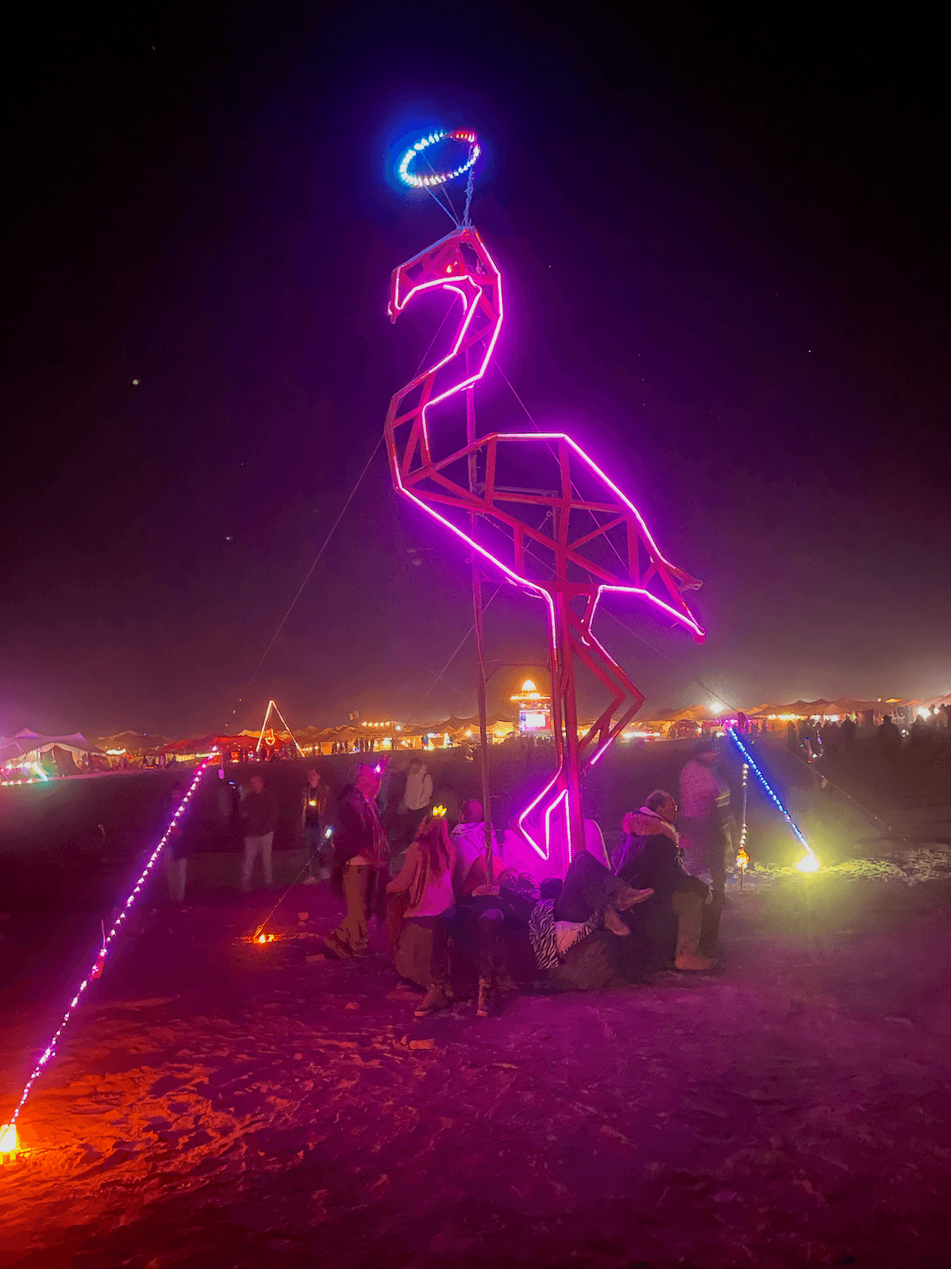 The flamingo lit up at night